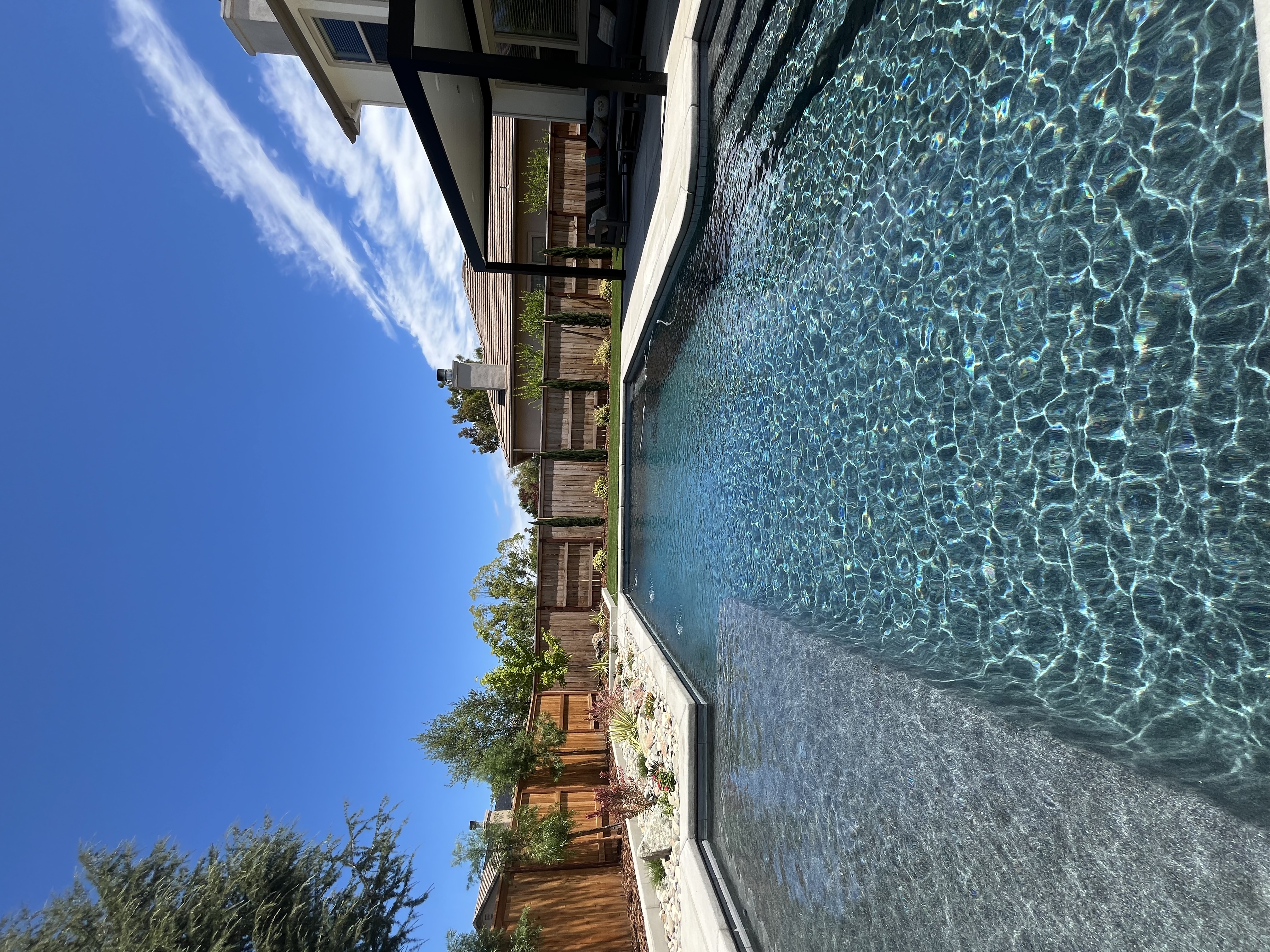 Custom pool and landscape by CJR