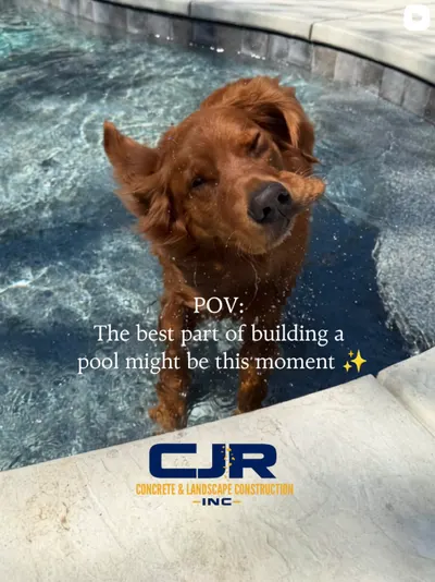 Golden retriever shaking off water on the tanning ledge of a new pool