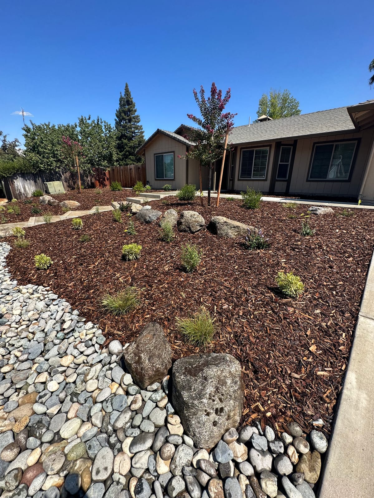Backyard Landscape Transformation